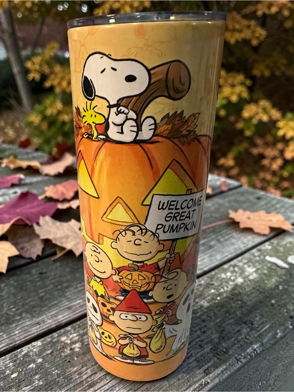 Character Friends and Dog Great Pumpkin 20oz Skinny Tumbler - Orange
